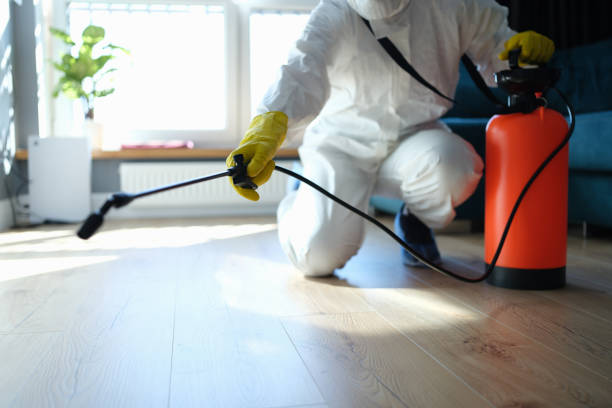 Reliable Hoarding Cleanup contractor in Bellevue, WI by Dulley Family Biohazard Services